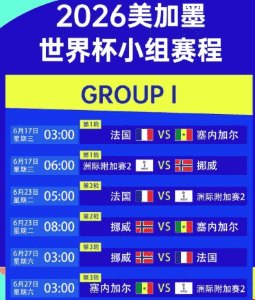 球迷庆祝胜利